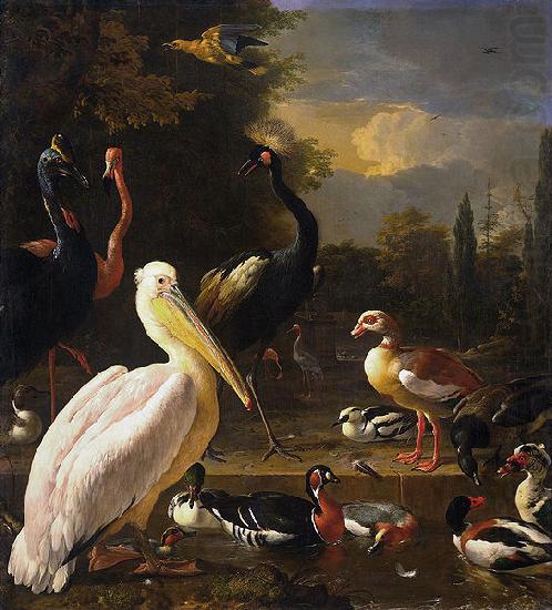 A Pelican and Other Birds Near a Pool,, HONDECOETER, Melchior d
